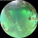 ./images/calvert/underwater/20260521/underwater20260521_124001M.jpg