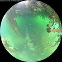 ./images/calvert/underwater/20260521/underwater20260521_124501M.jpg