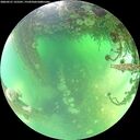 ./images/calvert/underwater/20260521/underwater20260521_125501M.jpg