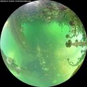 ./images/calvert/underwater/20260521/underwater20260521_131001M.jpg