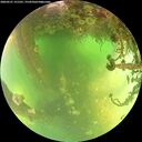 ./images/calvert/underwater/20260521/underwater20260521_131501M.jpg