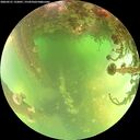 ./images/calvert/underwater/20260521/underwater20260521_132001M.jpg