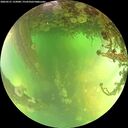 ./images/calvert/underwater/20260521/underwater20260521_133001M.jpg