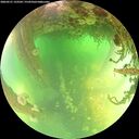 ./images/calvert/underwater/20260521/underwater20260521_133501M.jpg