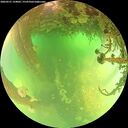 ./images/calvert/underwater/20260521/underwater20260521_134001M.jpg