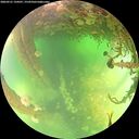 ./images/calvert/underwater/20260521/underwater20260521_134501M.jpg
