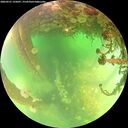 ./images/calvert/underwater/20260521/underwater20260521_135001M.jpg