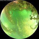 ./images/calvert/underwater/20260521/underwater20260521_135501M.jpg