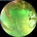 ./images/calvert/underwater/20260521/underwater20260521_140002M.jpg