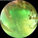 ./images/calvert/underwater/20260521/underwater20260521_140501M.jpg