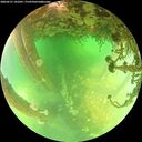 ./images/calvert/underwater/20260521/underwater20260521_141001M.jpg