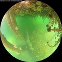 ./images/calvert/underwater/20260521/underwater20260521_141502M.jpg
