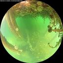 ./images/calvert/underwater/20260521/underwater20260521_142001M.jpg