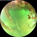 ./images/calvert/underwater/20260521/underwater20260521_142501M.jpg