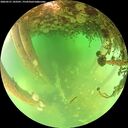./images/calvert/underwater/20260521/underwater20260521_143501M.jpg