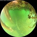 ./images/calvert/underwater/20260521/underwater20260521_144001M.jpg