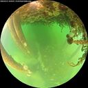 ./images/calvert/underwater/20260521/underwater20260521_144501M.jpg