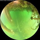 ./images/calvert/underwater/20260521/underwater20260521_145001M.jpg