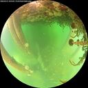 ./images/calvert/underwater/20260521/underwater20260521_145501M.jpg
