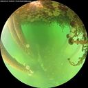 ./images/calvert/underwater/20260521/underwater20260521_150501M.jpg