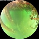./images/calvert/underwater/20260521/underwater20260521_151001M.jpg