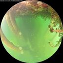 ./images/calvert/underwater/20260521/underwater20260521_151501M.jpg