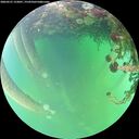 ./images/calvert/underwater/20260521/underwater20260521_152001M.jpg