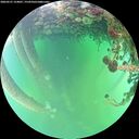 ./images/calvert/underwater/20260521/underwater20260521_154001M.jpg