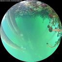 ./images/calvert/underwater/20260521/underwater20260521_155501M.jpg