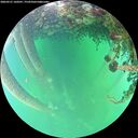 ./images/calvert/underwater/20260521/underwater20260521_160501M.jpg