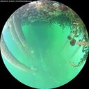 ./images/calvert/underwater/20260521/underwater20260521_161001M.jpg