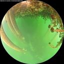 ./images/calvert/underwater/20260521/underwater20260521_162501M.jpg