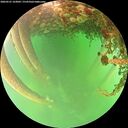 ./images/calvert/underwater/20260521/underwater20260521_163001M.jpg