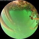 ./images/calvert/underwater/20260521/underwater20260521_163501M.jpg