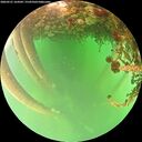 ./images/calvert/underwater/20260521/underwater20260521_164502M.jpg