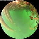 ./images/calvert/underwater/20260521/underwater20260521_165001M.jpg