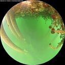 ./images/calvert/underwater/20260521/underwater20260521_170501M.jpg