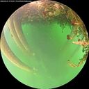 ./images/calvert/underwater/20260521/underwater20260521_171501M.jpg