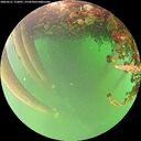 ./images/calvert/underwater/20260521/underwater20260521_172001M.jpg