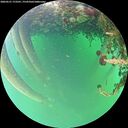 ./images/calvert/underwater/20260521/underwater20260521_173501M.jpg