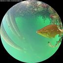 ./images/calvert/underwater/20260521/underwater20260521_174001M.jpg