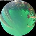 ./images/calvert/underwater/20260521/underwater20260521_180501M.jpg