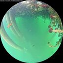 ./images/calvert/underwater/20260521/underwater20260521_182001M.jpg