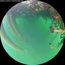 ./images/calvert/underwater/20260521/underwater20260521_183501M.jpg