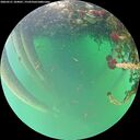 ./images/calvert/underwater/20260521/underwater20260521_184001M.jpg