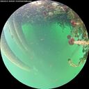 ./images/calvert/underwater/20260521/underwater20260521_184502M.jpg