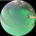 ./images/calvert/underwater/20260521/underwater20260521_185001M.jpg