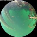 ./images/calvert/underwater/20260521/underwater20260521_185501M.jpg
