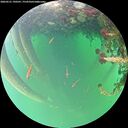 ./images/calvert/underwater/20260521/underwater20260521_190501M.jpg