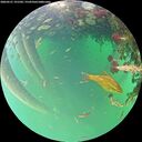 ./images/calvert/underwater/20260521/underwater20260521_191501M.jpg
